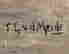 item-135957321=4