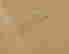 item-135957331=8