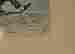 item-135957547=11