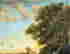 item-135957661=12