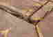 item-135957765=15