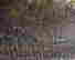 item-135957765=4