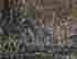 item-135957765=9