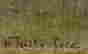 item-135958171=4