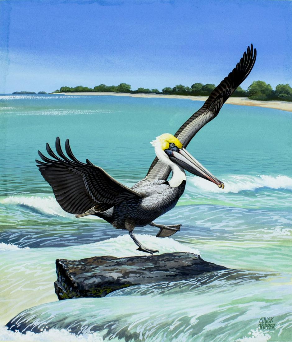 Chuck Ripper (WV,PA,1929-2019) gouache painting (1 of 12)