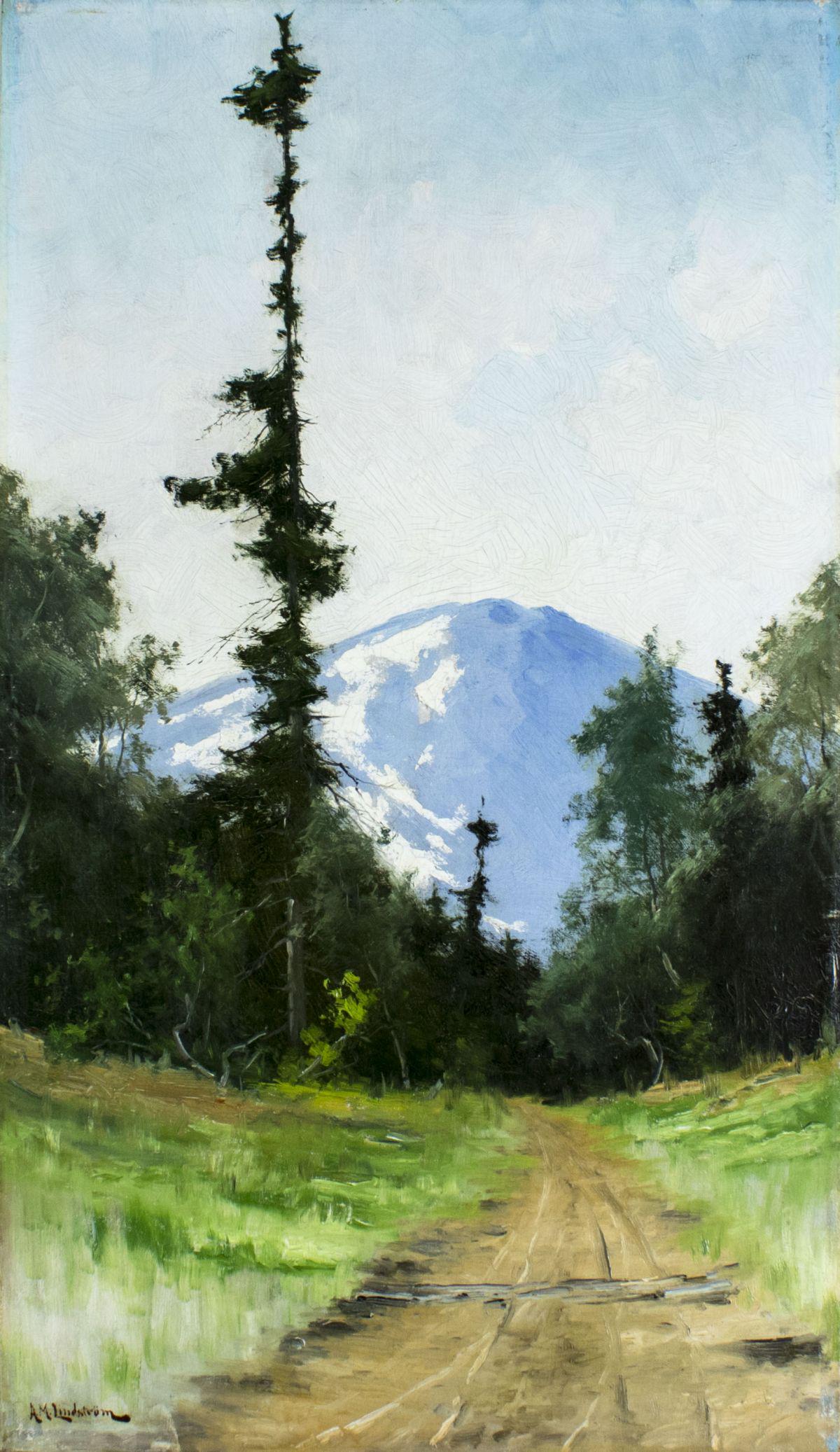 Arvid Mauritz Lindstrom (Sweden,1849-1923) oil painting antique: ARTIST: Arvid Mauritz Lindstrom (Swedish, 1849 - 1923) NAME: Alpine Landscape MEDIUM: oil on canvas CONDITION: Some craquelure. No visible inpaint under UV light. SIGHT SIZE: 32 x 18 inches / 81 x 45