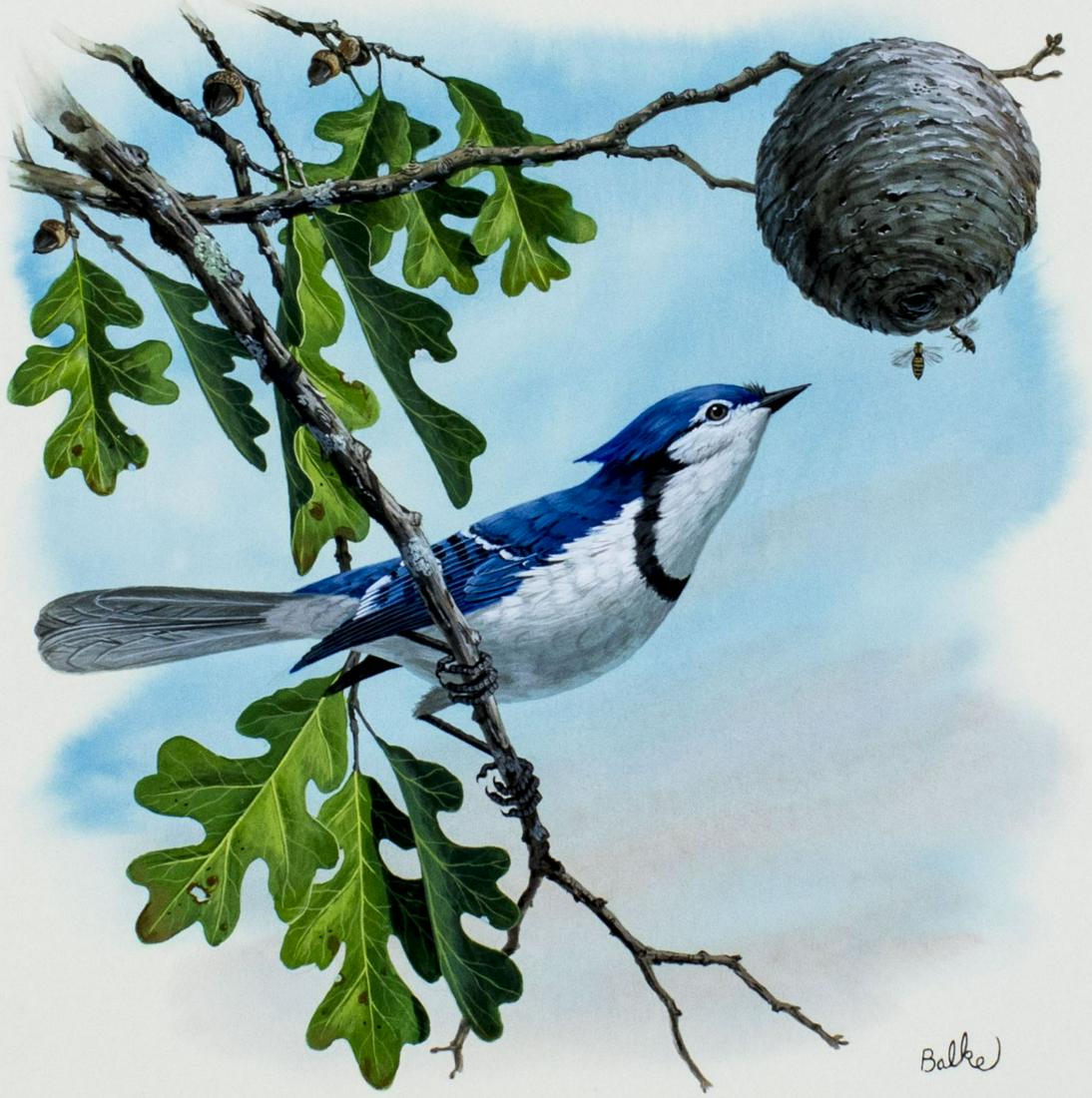 Don Balke (NC,b 1933) gouache painting (1 of 12)