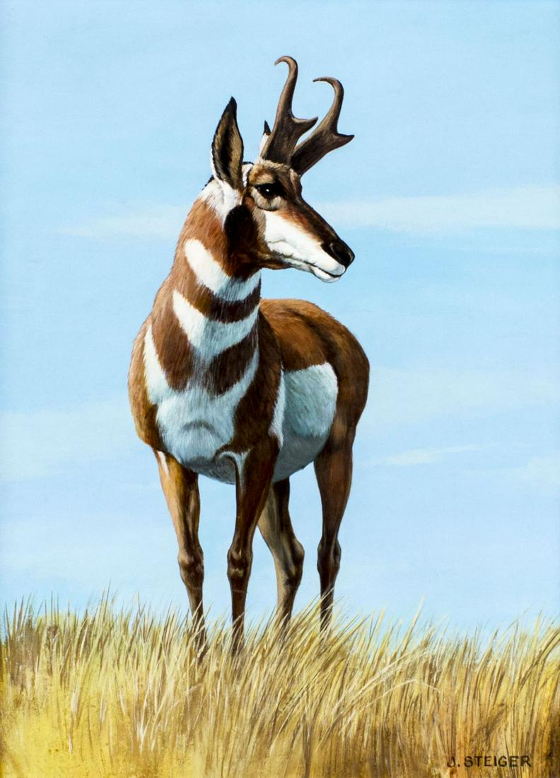 John Steiger (IL,1923-2012) oil painting: ARTIST: John Robert Steiger (Illinois, 1923 - 2012) TITLE: Antelope MEDIUM: oil on board CONDITION: Very good. No visible inpaint under UV light. Minor damages to frame. ART SIZE: 20 x 15 inches / 50 