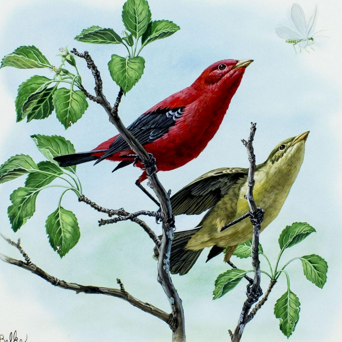 Don Balke (NC,1933-?) gouache painting (1 of 13)