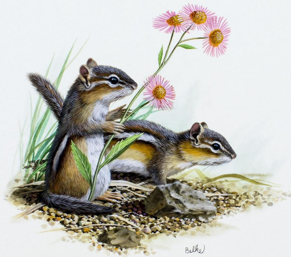 Don Balke (NC,b 1933) watercolor painting (1 of 12)