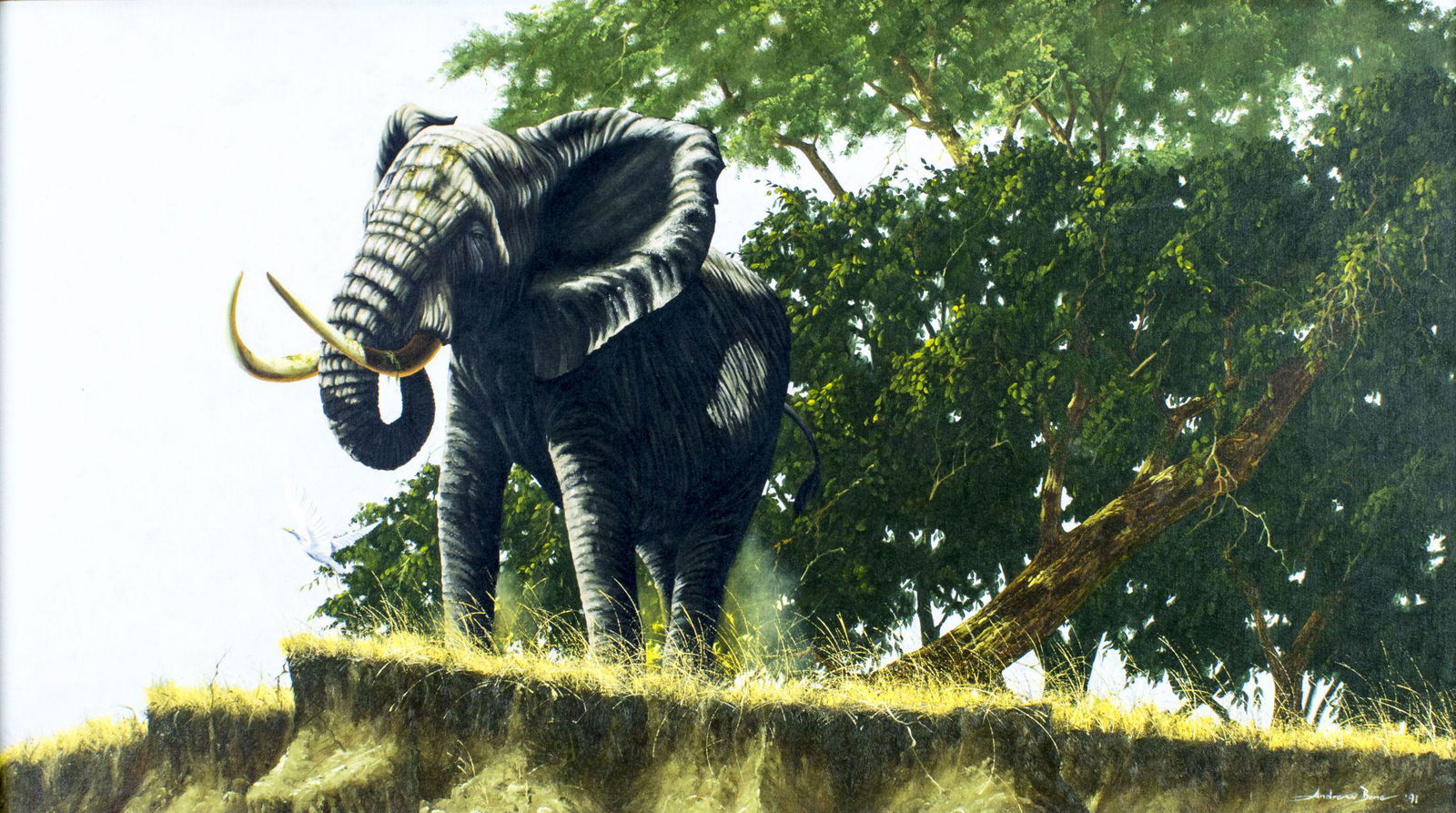 Andrew Bone (UK,b 1957) oil painting: ARTIST: Andrew Bone (British, born 1957) TITLE: Elephant YEAR: 1991 MEDIUM: oil on canvas CONDITION: Very good. No visible inpaint under UV light. ART SIZE: 22 x 40 inches / 55 x 101 cm FRAME SIZE: 25