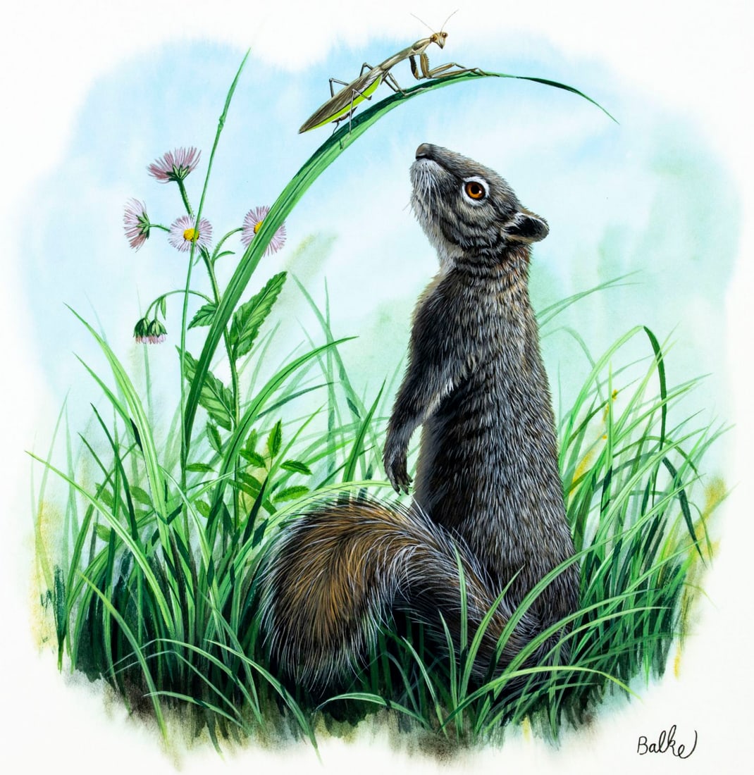 Don Balke (NC,b 1933) gouache painting (1 of 12)