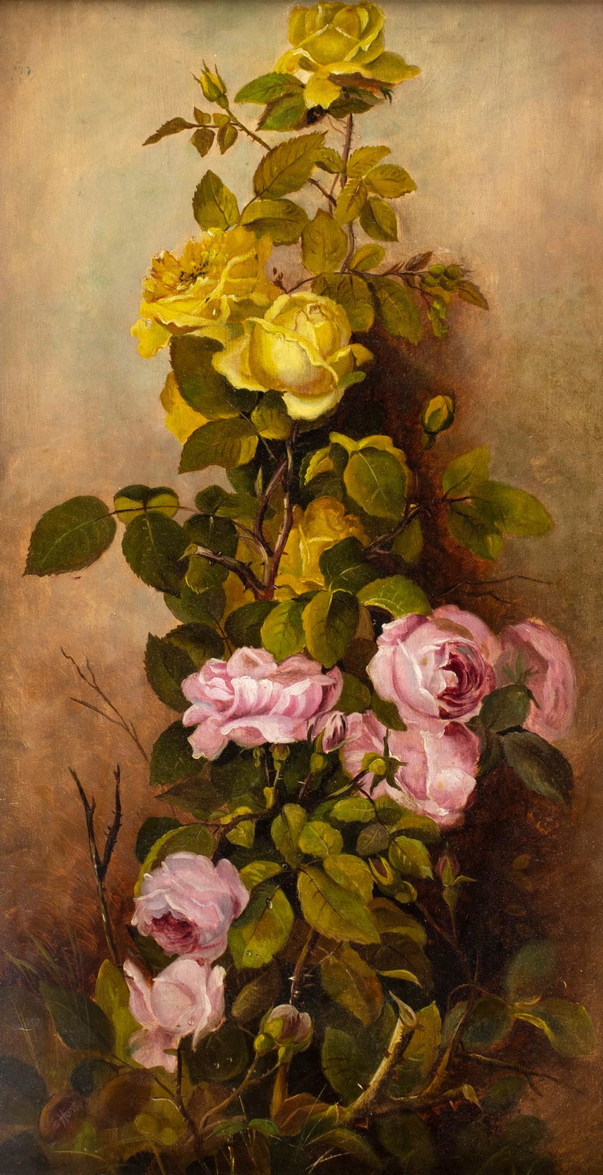 E Hunt (US,19C) oil painting antique: ARTIST: E Hunt (American, 19 century) TITLE: Still Life with Roses MEDIUM: oil on canvas CONDITION: Relined. Few minor paint losses mostly along edges. Minor craquelure. No visible inpaint under UV li