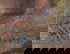 item-165407907=4
