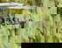 item-166430782=4