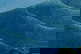 item-170503403=6