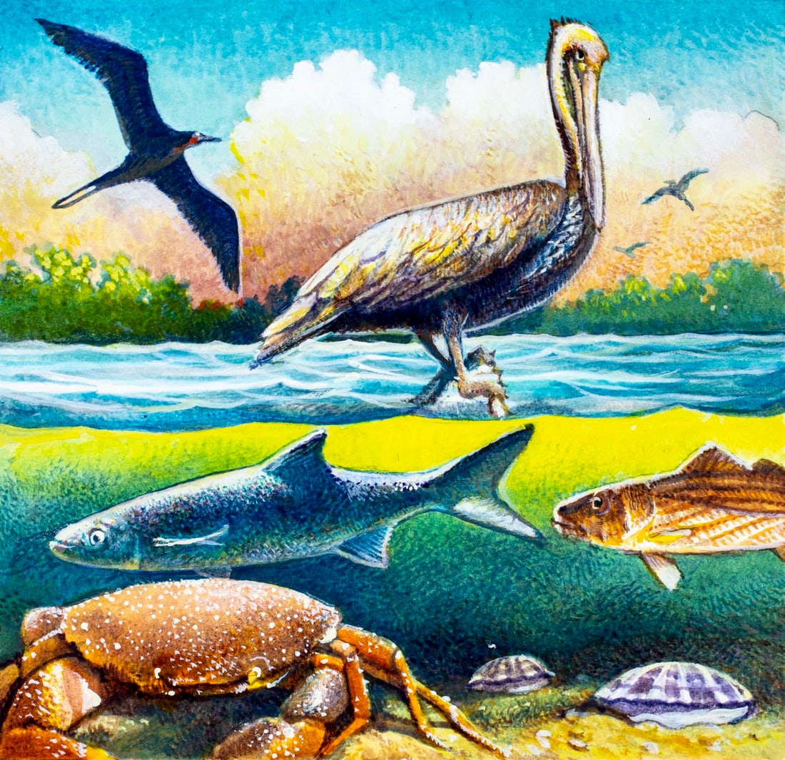 Vintage 20C American watercolor painting: ARTIST: - (American, 20 century) TITLE: Florida Wildlife - Coastal Waters MEDIUM: watercolor and gouache on board CONDITION: Very good. ART SIZE: 5 x 5 inches / 12 x 12 cm BOARD SIZE: 8 x 9 inches / 2