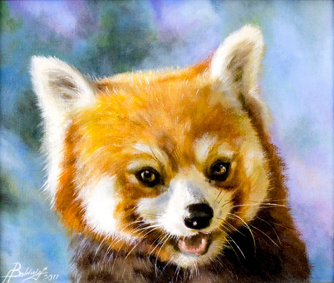 Asys Baldwin (US,20/21C) oil painting: ARTIST: Asys Baldwin (American, 20/21 century) TITLE: Baby Fox YEAR: 2011 MEDIUM: oil on board CONDITION: Very good. No visible inpaint under UV light. ART SIZE: 8 x 10 inches / 20 x 25 cm FRAME SIZE: