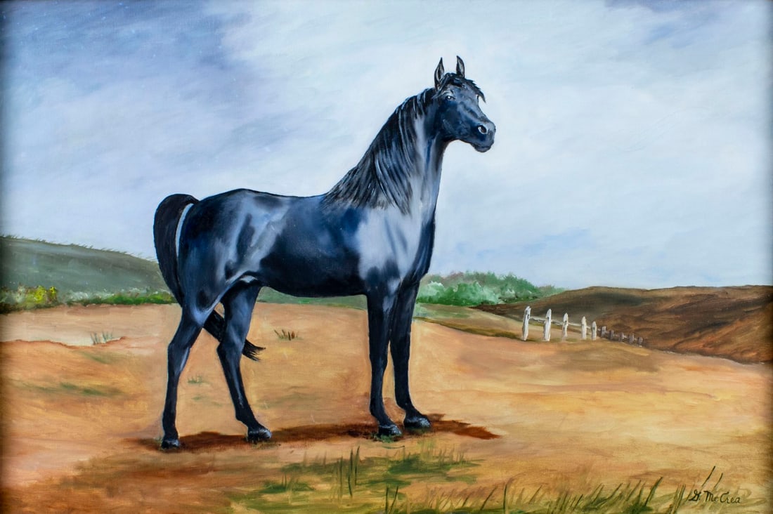 D McCrea (US,20C) oil painting: ARTIST: D McCrea (American, 20 century) TITLE: Black Horse MEDIUM: oil on canvas CONDITION: Some craquelure in upper right quadrant. No visible inpaint under UV light. ART SIZE: 24 x 36 inches / 60 x 