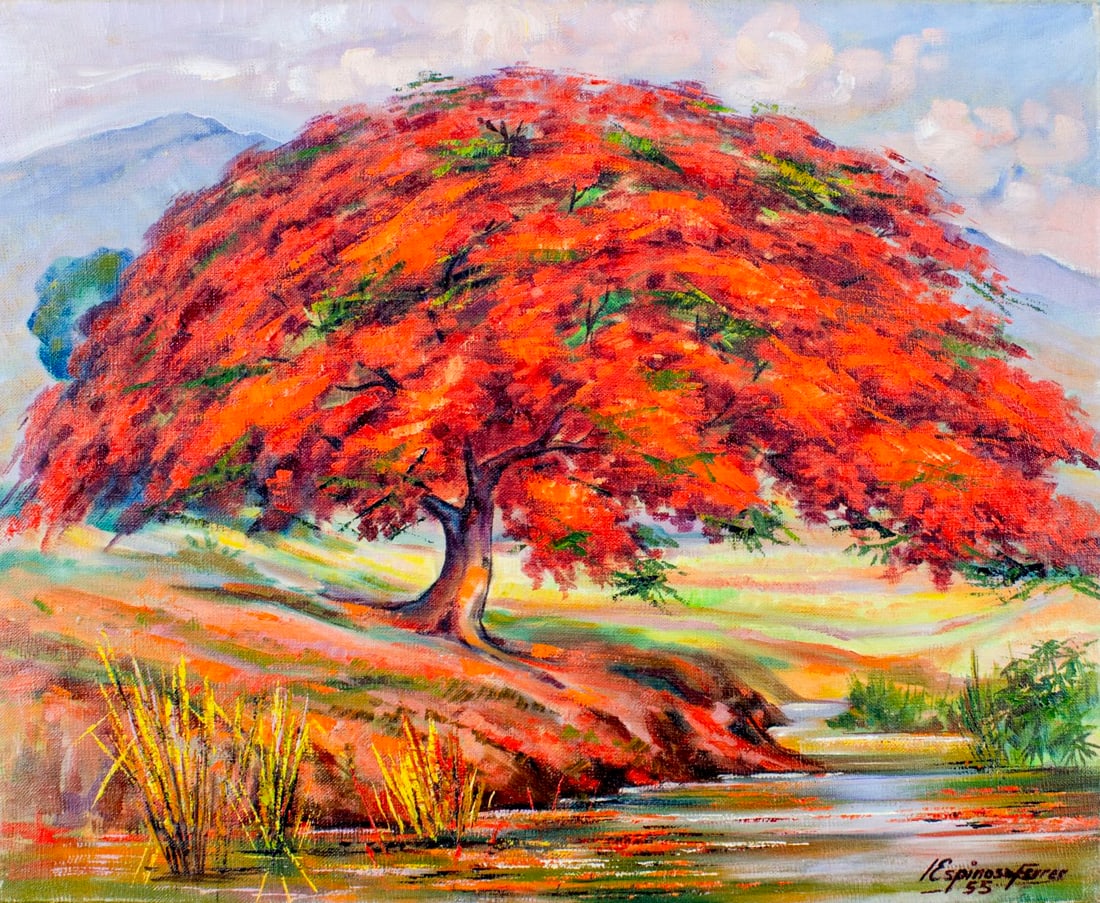 Ismael Espinosa Ferrer (Cuba,1920-2012) oil painting: ARTIST: Ismael Espinosa Ferrer (Cuban, 1920 - 2012) TITLE: Landscape with Flamboyant Tree YEAR: 1955 MEDIUM: oil on canvas CONDITION: Few minor paint losses. No visible inpaint under UV light. ART SIZ