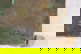 item-176450748=10