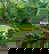 item-176450748=5