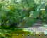 item-176450748=6