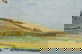 item-177702707=6