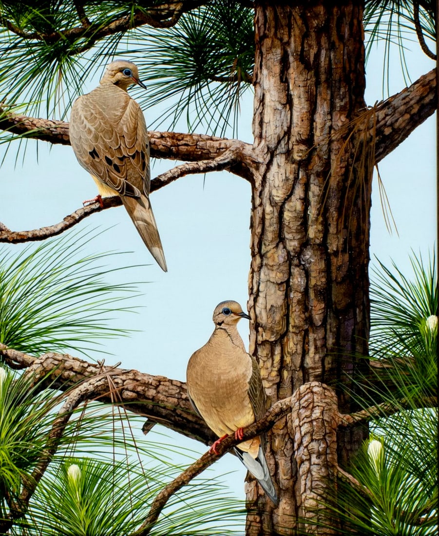 Stephen Koury (FL,20C) oil painting: ARTIST: Stephen Koury (Florida, 20 century) TITLE: Mourning Doves MEDIUM: oil on board CONDITION: Very good. No visible inpaint under UV light. Wear to frame. ART