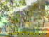 item-180798140=5