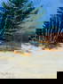 James McGinley (NJ,NY,MD,1937-2021) oil painting
