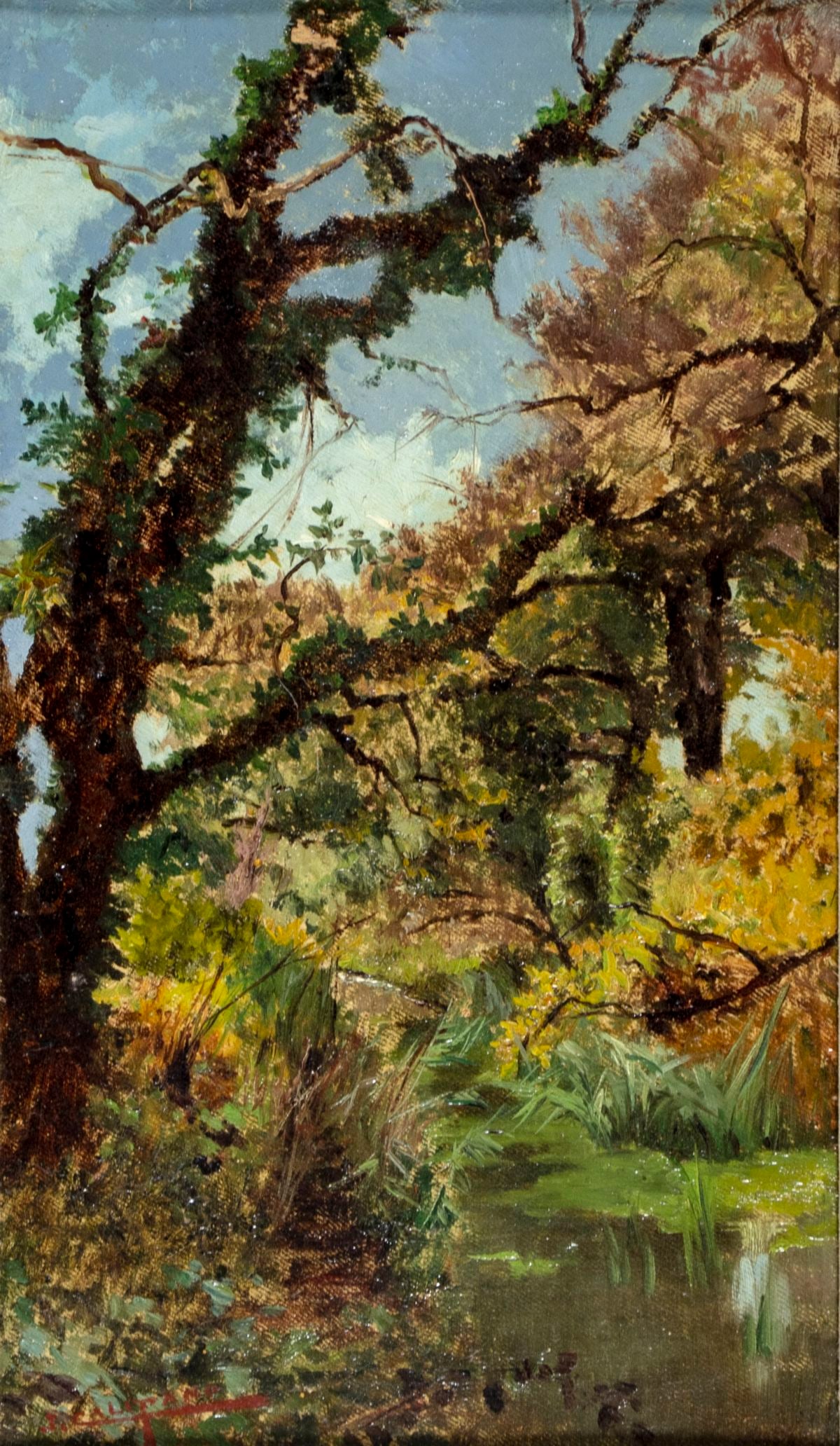 John Califano (IL,CA,Italy,1862-1946) oil painting antique (1 of 12)