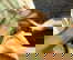 item-190409162=7