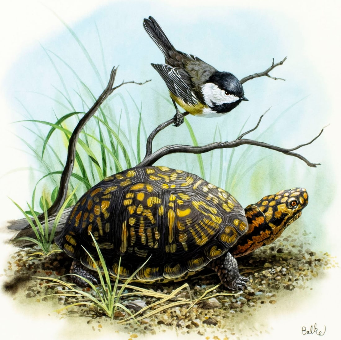 Don Balke (NC,1933-?) gouache painting: ARTIST: Don Balke (North Carolina, 1933 - ???) TITLE: Turtle YEAR: 1986 MEDIUM: gouache on board CONDITION: Very good. ART SIZE: 11