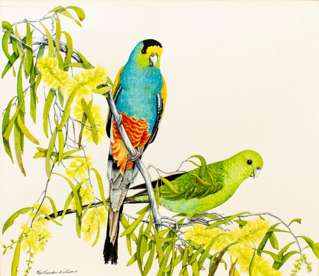 Kay Williams (TN,20/21C) mixed media painting: ARTIST: Kay Williams (Tennessee, 20/21 centuries) TITLE: Birds - Parrots MEDIUM: mixed media on heavy paper CONDITION: Very good. ART SIZE: 12 x 14 inche