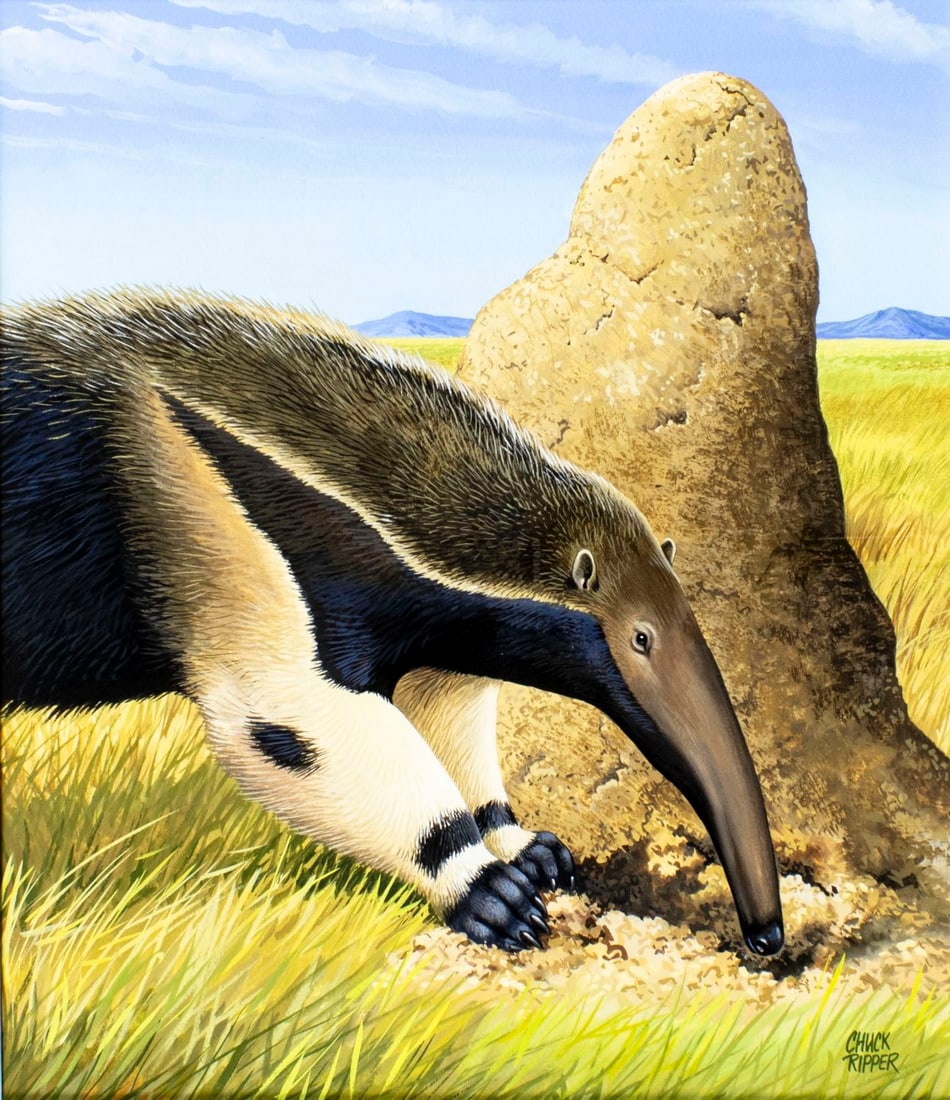 Chuck Ripper (WV,PA,1929-2019) gouache painting: ARTIST: Chuck Ripper (West Virginia, Pennsylvania, 1929 - 2019) TITLE: Giant Anteater YEAR: 1997 MEDIUM: gouache on heavy paper CONDITION: Very good. F