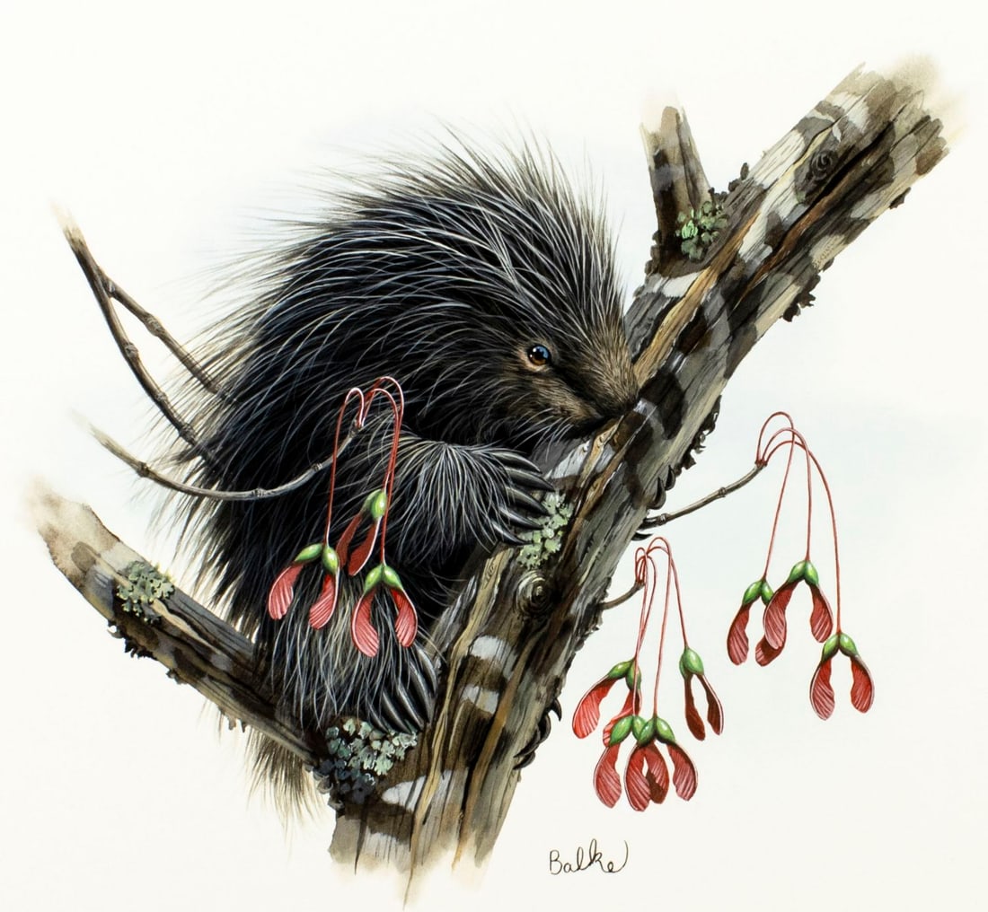 Don Balke (NC,1933-?) gouache painting (1 of 12)