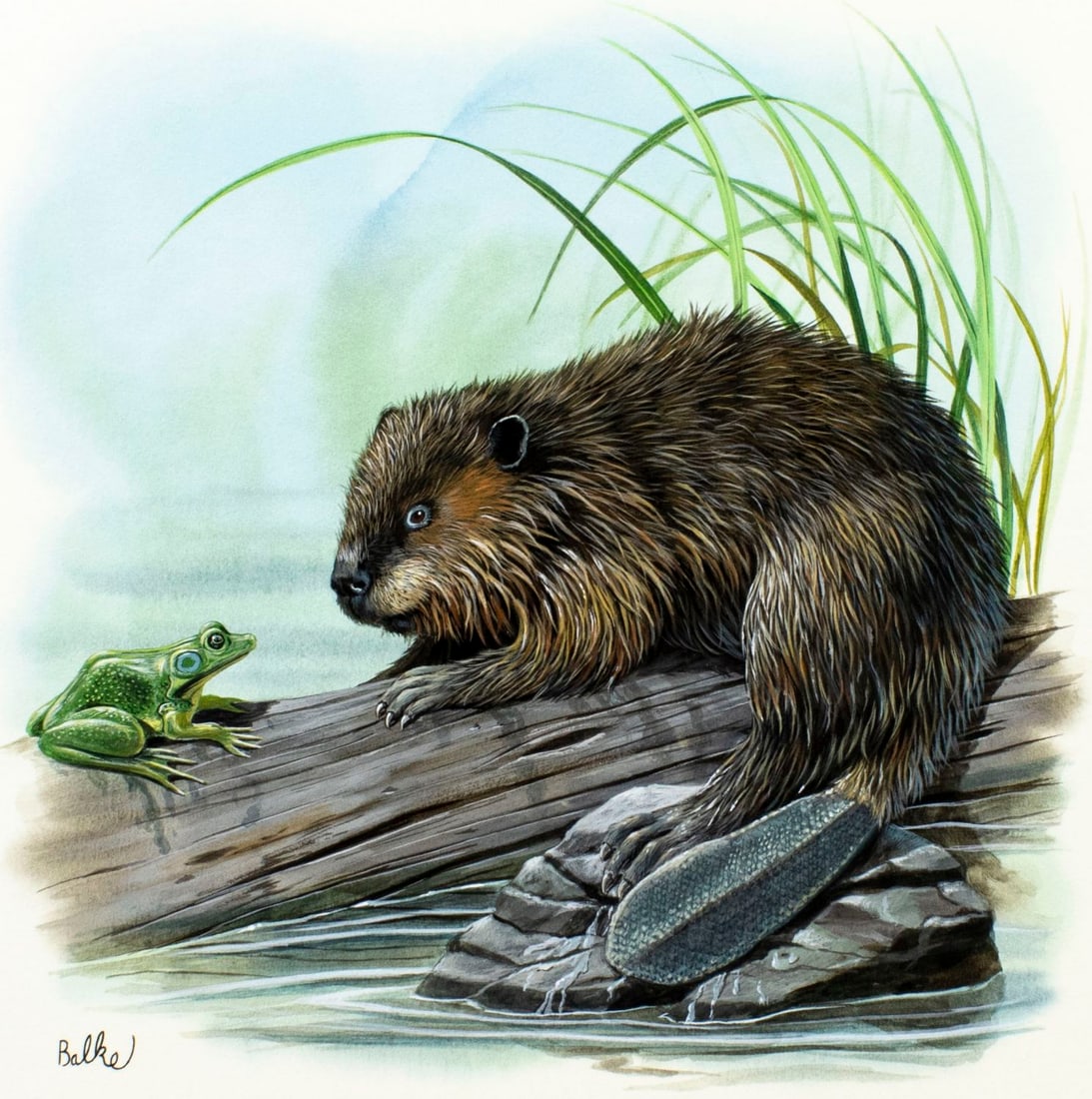 Don Balke (NC,1933-?) gouache painting (1 of 12)