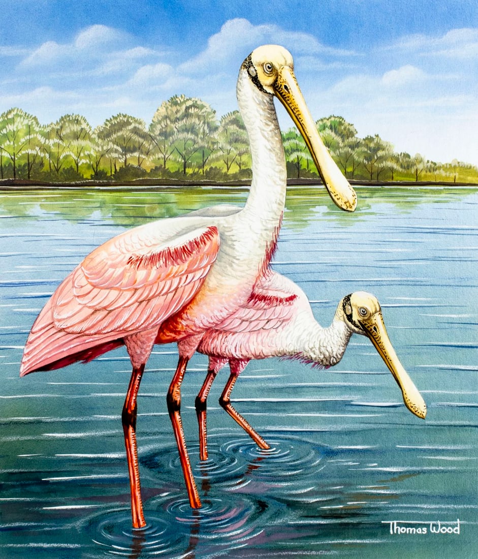 Thomas C Wood (US,20/21C) watercolor painting (1 of 13)