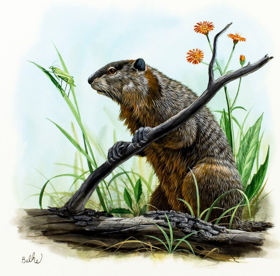 Don Balke (NC,1933-?) gouache painting (1 of 13)