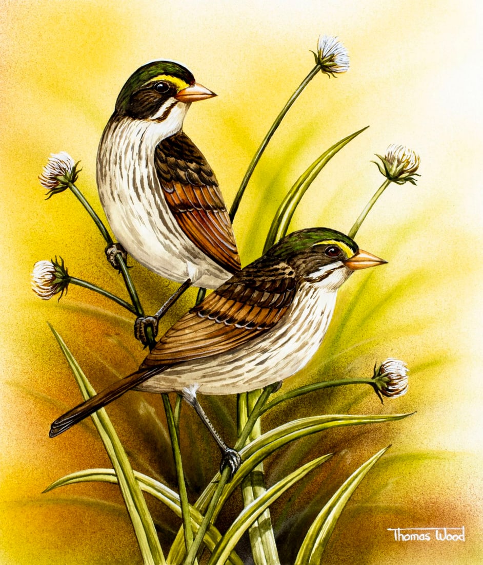 Thomas C Wood (US,20/21C) mixed media painting (1 of 13)