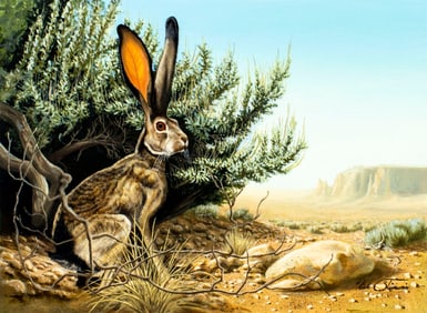 Kirk Stirnweis (NH,CO,b 1967) oil painting