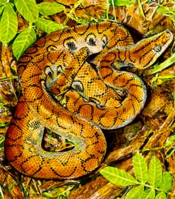 Chris Calle (US,b 1961) mixed media painting