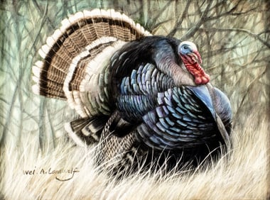 Wei A Lonewolf (GA,b 1964) oil painting