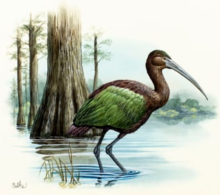 Don Balke (NC,1933-?) gouache painting