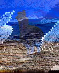 Ken Walker (US,20C) gouache painting