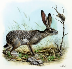 Don Balke (NC,1933-?) gouache painting