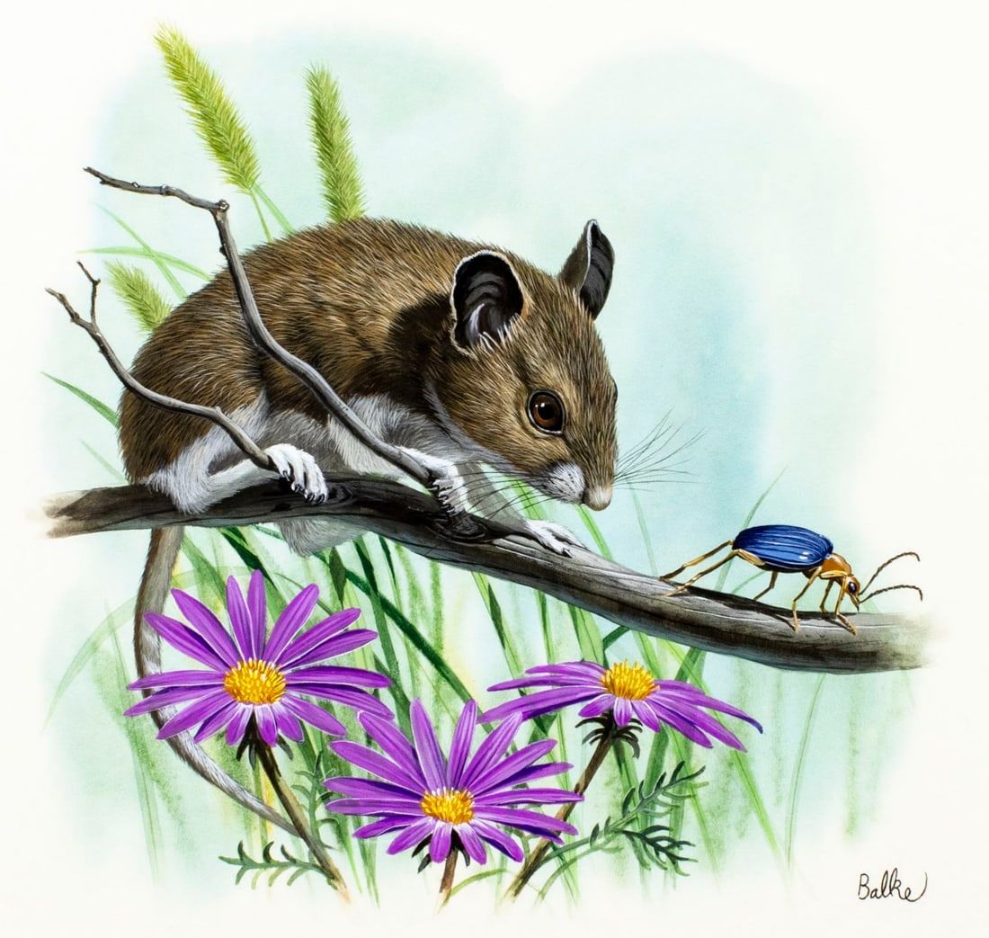 Don Balke (NC,1933-?) gouache painting (1 of 13)