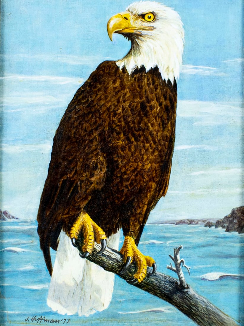 A Hoffman (US,20C) oil painting: ARTIST: A Hoffman (American, 20 century) TITLE: Bird - Eagle YEAR: 1977 MEDIUM: oil on board CONDITION: Overall good. No visible inpaint under UV light.