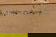 item-198534551=4